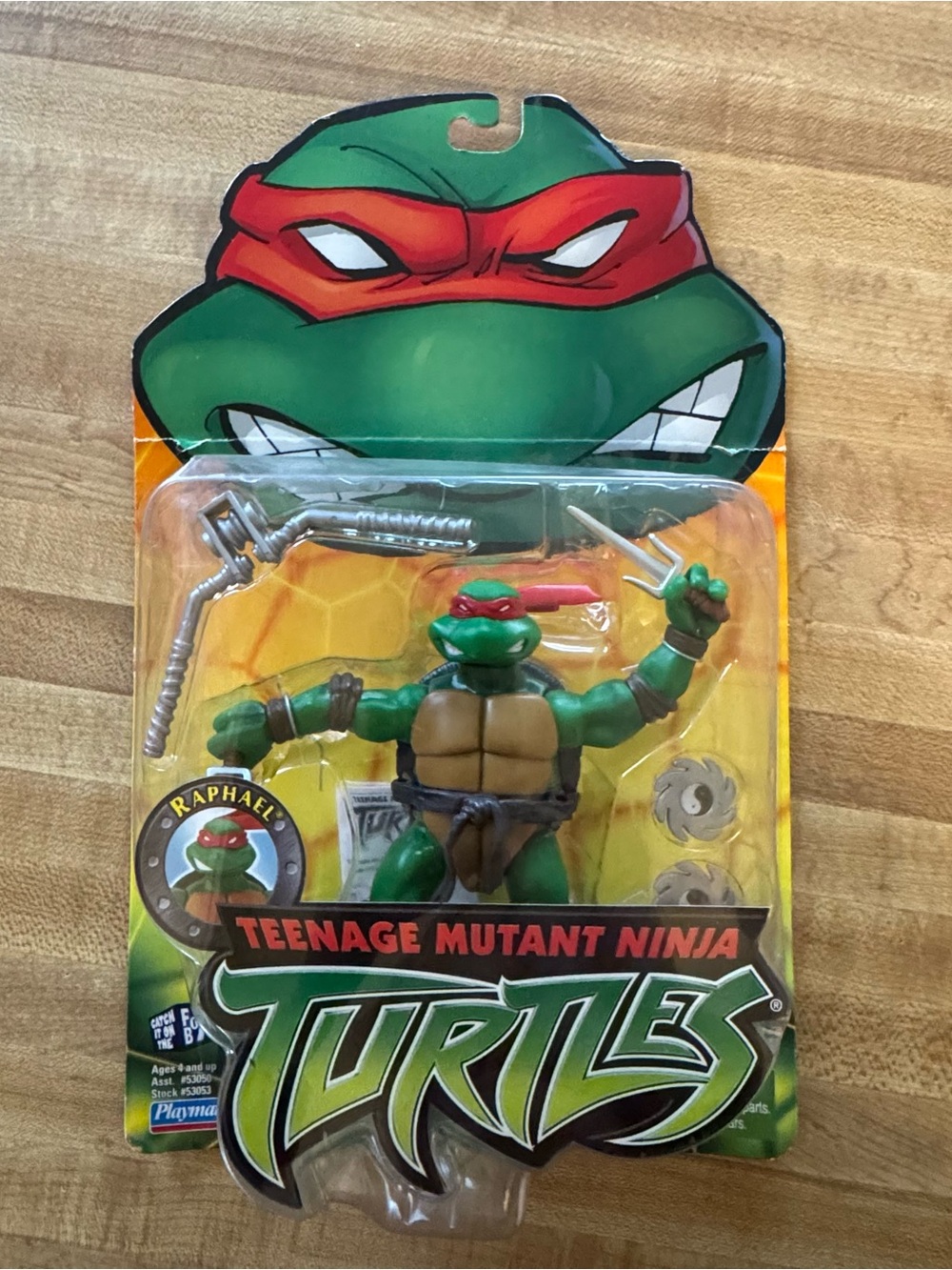 Playmates 2002 Teenage Mutant Ninja Turtles Raphael Action Figure FoxBox NIB